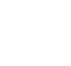 Legal Malpractice Icon